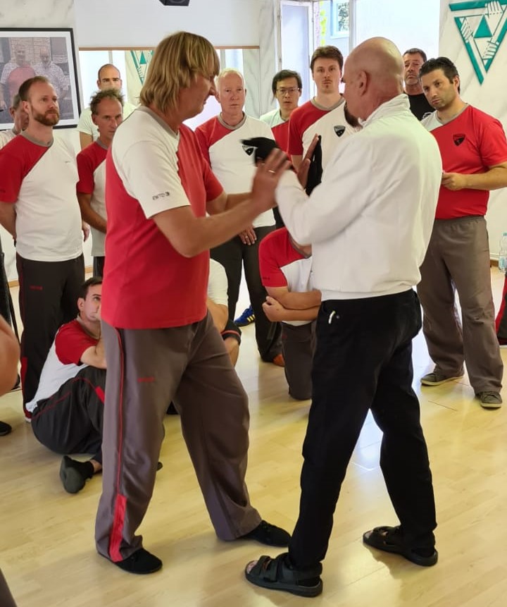 Funktionelles WingTsun